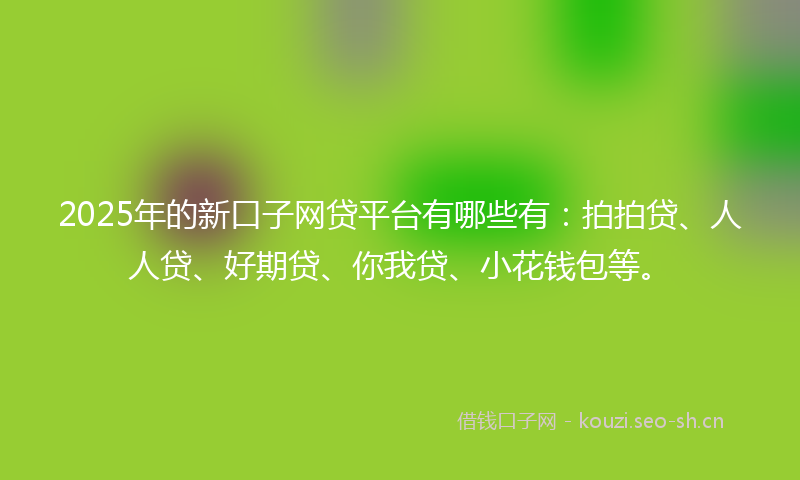 2025年的新口子网贷平台有哪些有：拍拍贷、人人贷、好期贷、你我贷、小花钱包等。