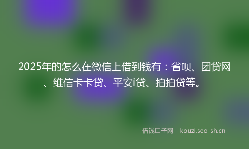 2025年的怎么在微信上借到钱有：省呗、团贷网、维信卡卡贷、平安i贷、拍拍贷等。