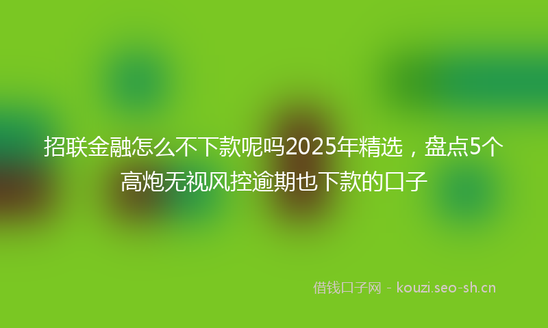 招联金融怎么不下款呢吗2025年精选，盘点5个高炮无视风控逾期也下款的口子