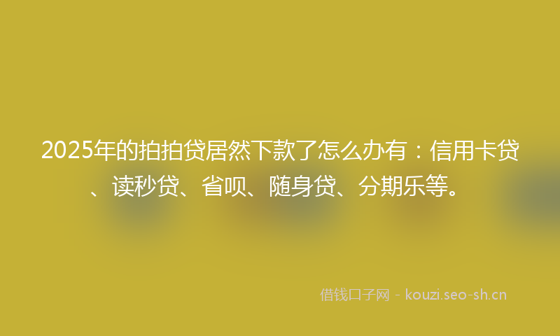 2025年的拍拍贷居然下款了怎么办有：信用卡贷、读秒贷、省呗、随身贷、分期乐等。