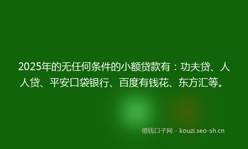 2025年的无任何条件的小额贷款有：功夫贷、人人贷、平安口袋银行、百度有钱花、东方汇等。