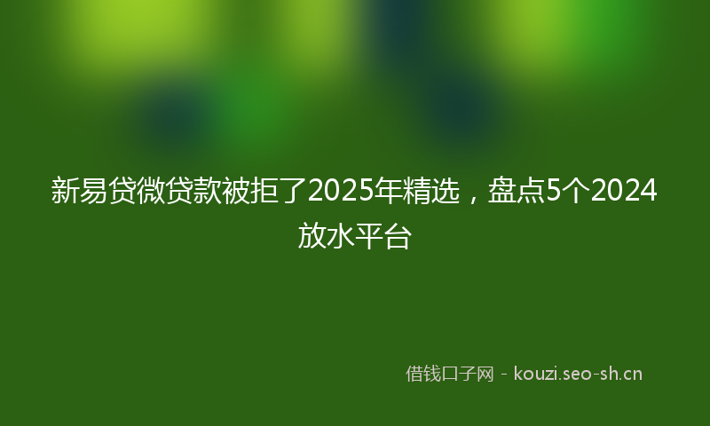 新易贷微贷款被拒了2025年精选，盘点5个2024放水平台