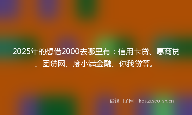 2025年的想借2000去哪里有：信用卡贷、惠商贷、团贷网、度小满金融、你我贷等。