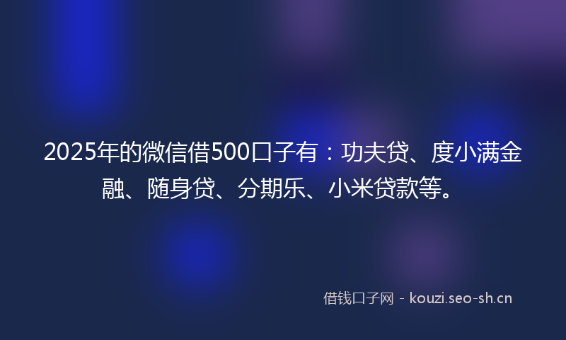 2025年的微信借500口子有：功夫贷、度小满金融、随身贷、分期乐、小米贷款等。