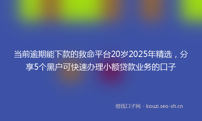 当前逾期能下款的救命平台20岁2025年精选，分享5个黑户可快速办理小额贷款业务的口子