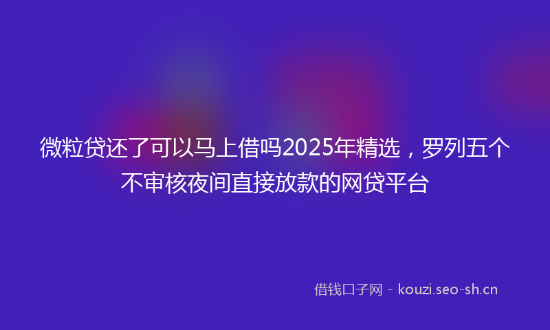 微粒贷还了可以马上借吗2025年精选,罗列五个不审核夜间直接放款的网贷平台