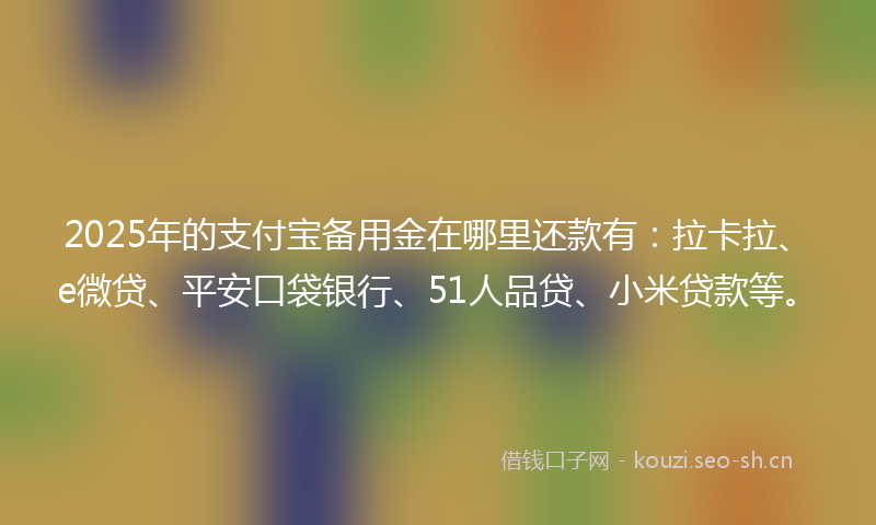 2025年的支付宝备用金在哪里还款有:拉卡拉、e微贷、平安口袋银行、51人品贷、小米贷款等。