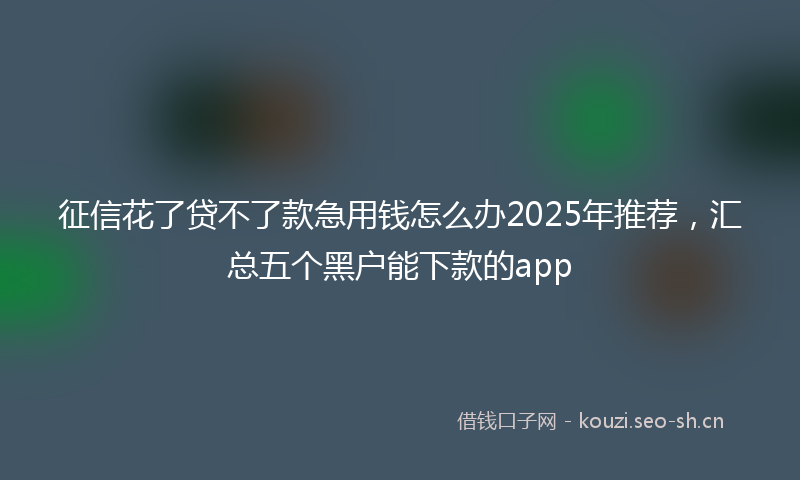 征信花了贷不了款急用钱怎么办2025年推荐，汇总五个黑户能下款的app