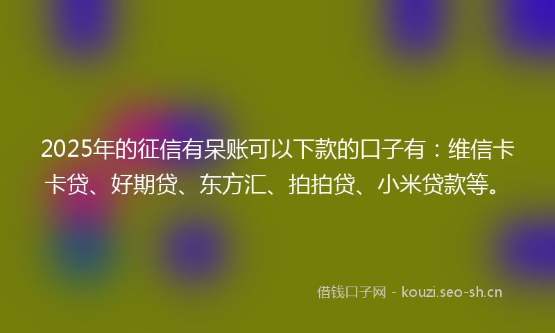 2025年的征信有呆账可以下款的口子有：维信卡卡贷、好期贷、东方汇、拍拍贷、小米贷款等。