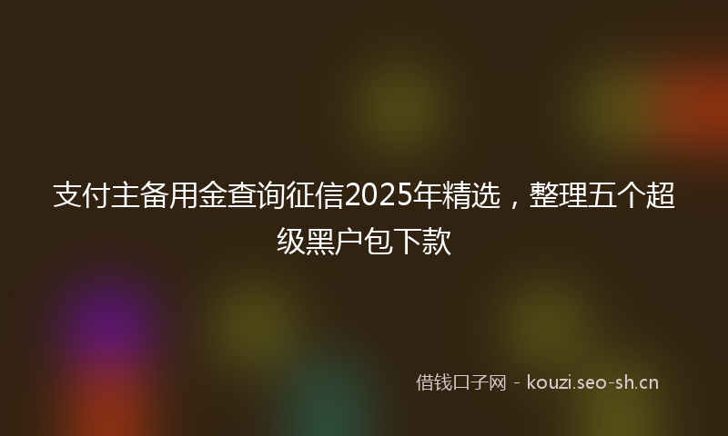 支付主备用金查询征信2025年精选，整理五个超级黑户包下款