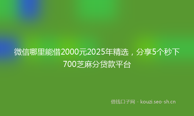 微信哪里能借2000元2025年精选，分享5个秒下700芝麻分贷款平台