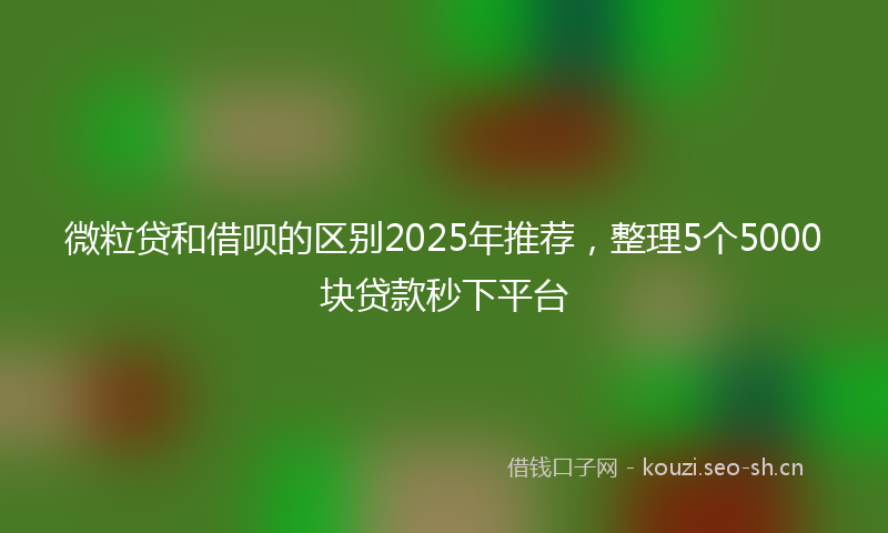 微粒贷和借呗的区别2025年推荐，整理5个5000块贷款秒下平台
