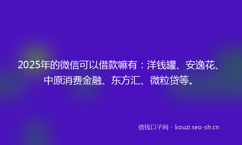 2025年的微信可以借款嘛有：洋钱罐、安逸花、中原消费金融、东方汇、微粒贷等。