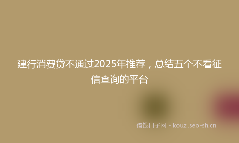 建行消费贷不通过2025年推荐，总结五个不看征信查询的平台