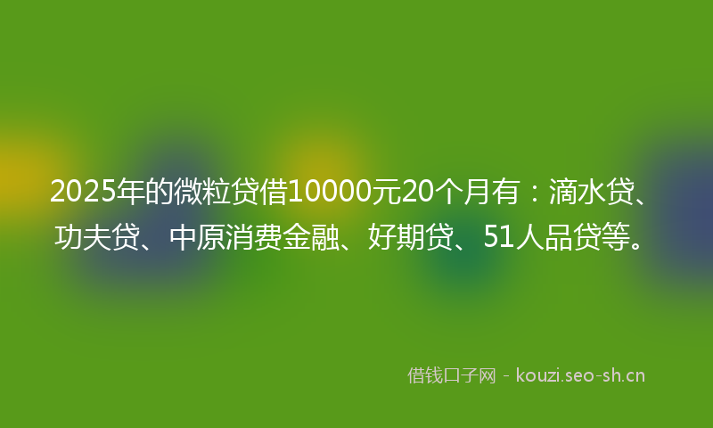 2025年的微粒贷借10000元20个月有：滴水贷、功夫贷、中原消费金融、好期贷、51人品贷等。