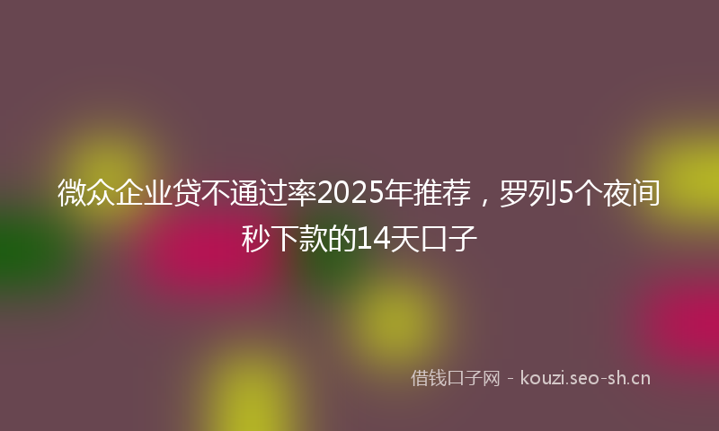微众企业贷不通过率2025年推荐，罗列5个夜间秒下款的14天口子