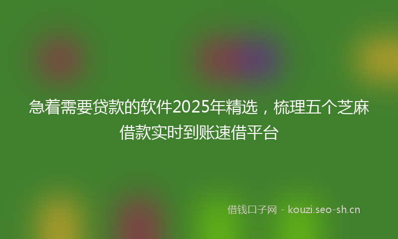 急着需要贷款的软件2025年精选，梳理五个芝麻借款实时到账速借平台
