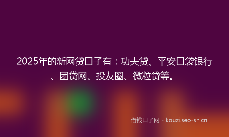 2025年的新网贷口子有：功夫贷、平安口袋银行、团贷网、投友圈、微粒贷等。