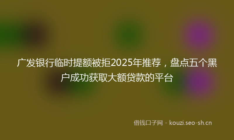 广发银行临时提额被拒2025年推荐，盘点五个黑户成功获取大额贷款的平台