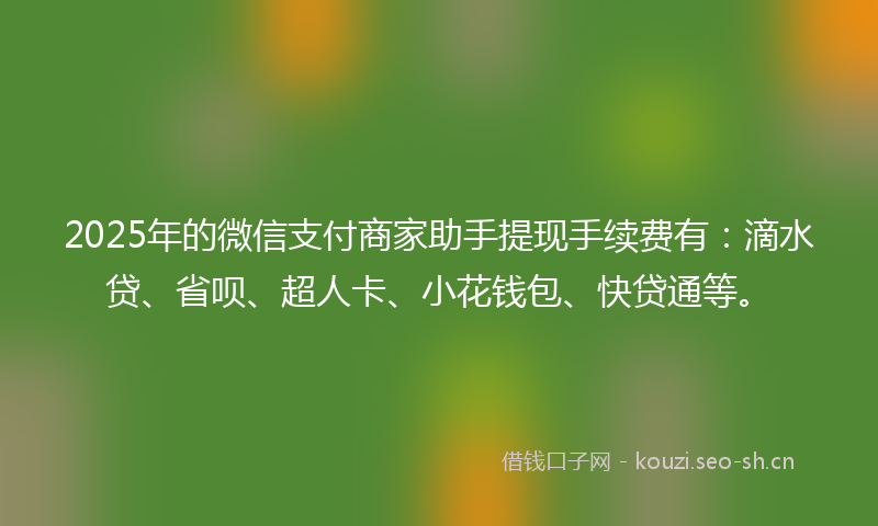 2025年的微信支付商家助手提现手续费有：滴水贷、省呗、超人卡、小花钱包、快贷通等。