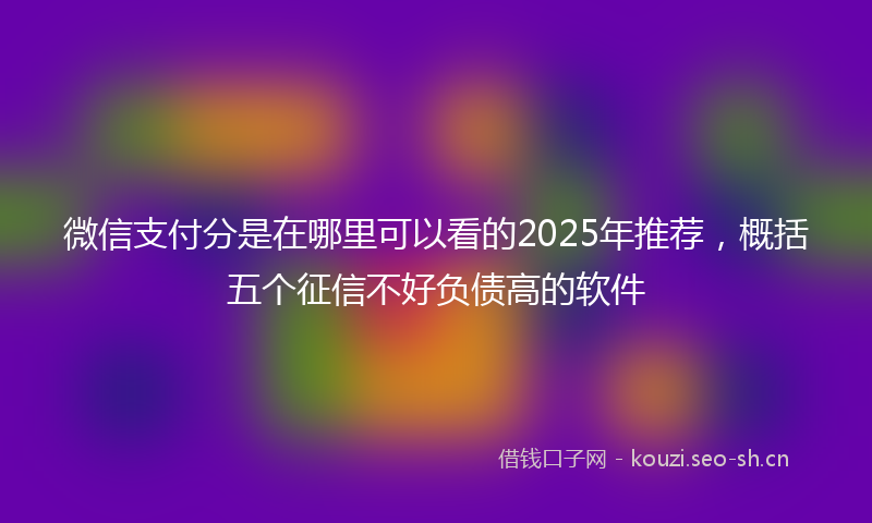微信支付分是在哪里可以看的2025年推荐，概括五个征信不好负债高的软件