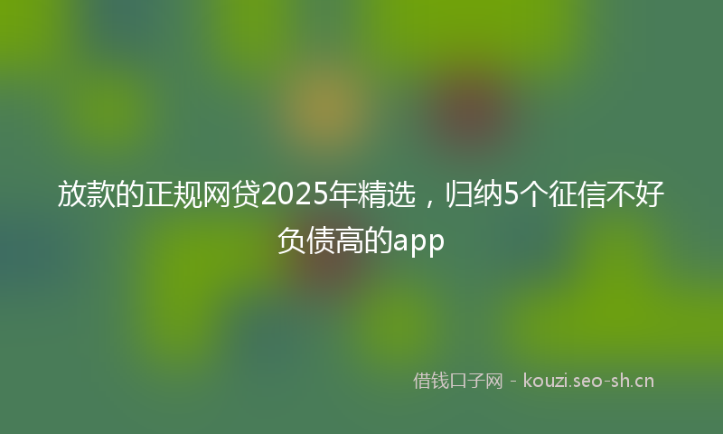 放款的正规网贷2025年精选，归纳5个征信不好负债高的app