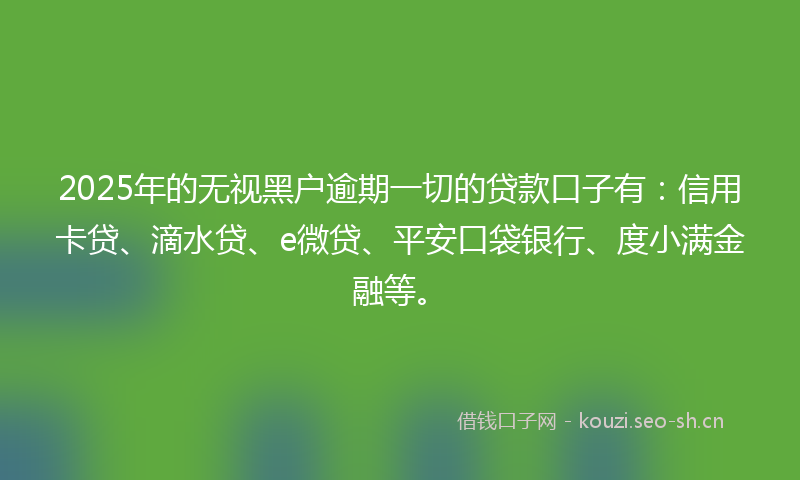 2025年的无视黑户逾期一切的贷款口子有：信用卡贷、滴水贷、e微贷、平安口袋银行、度小满金融等。