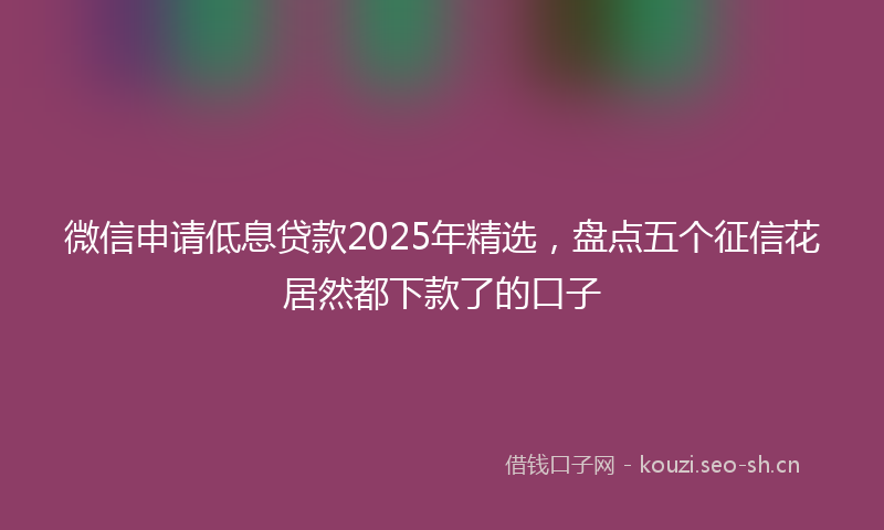 微信申请低息贷款2025年精选，盘点五个征信花居然都下款了的口子