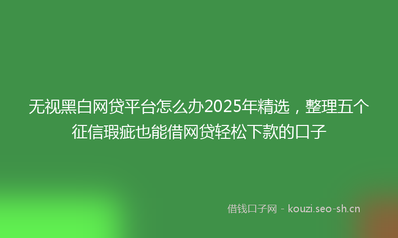 无视黑白网贷平台怎么办2025年精选，整理五个征信瑕疵也能借网贷轻松下款的口子