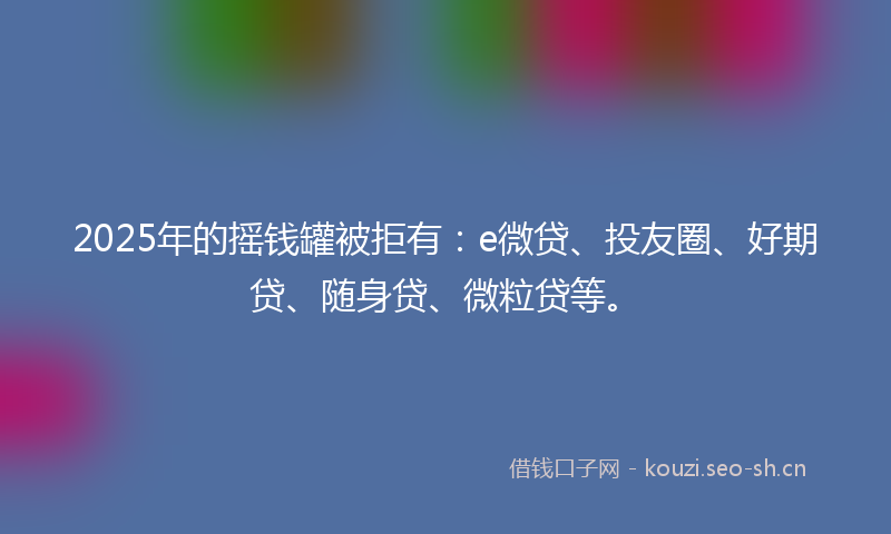 2025年的摇钱罐被拒有：e微贷、投友圈、好期贷、随身贷、微粒贷等。