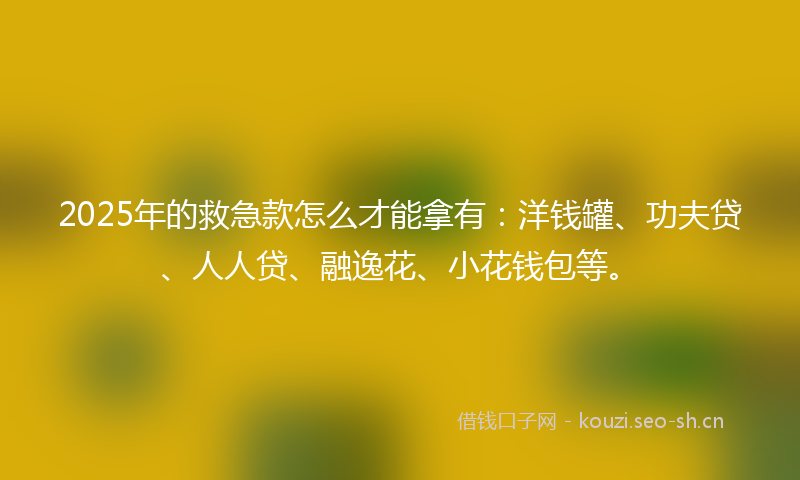 2025年的救急款怎么才能拿有：洋钱罐、功夫贷、人人贷、融逸花、小花钱包等。