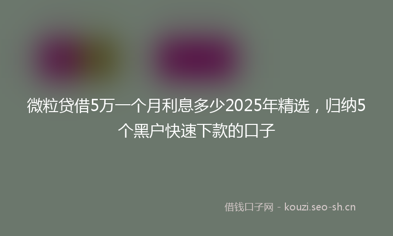 微粒贷借5万一个月利息多少2025年精选，归纳5个黑户快速下款的口子