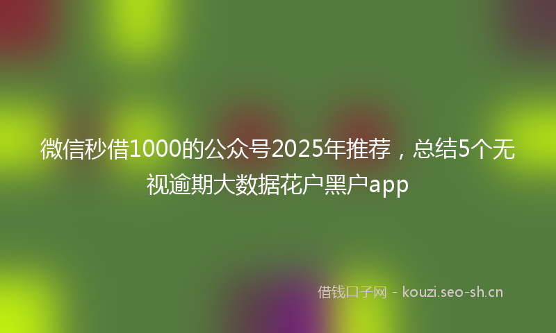 微信秒借1000的公众号2025年推荐，总结5个无视逾期大数据花户黑户app