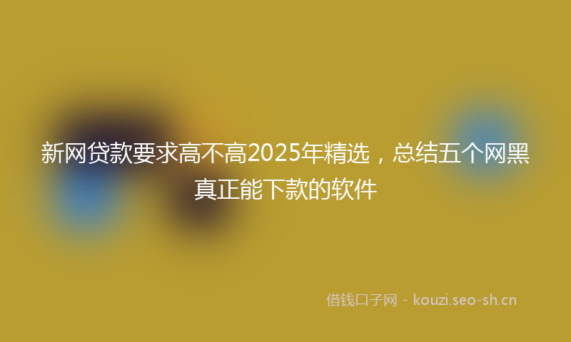 新网贷款要求高不高2025年精选，总结五个网黑真正能下款的软件