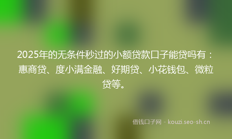 2025年的无条件秒过的小额贷款口子能贷吗有：惠商贷、度小满金融、好期贷、小花钱包、微粒贷等。
