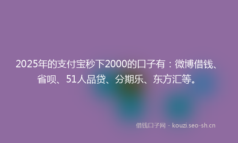 2025年的支付宝秒下2000的口子有：微博借钱、省呗、51人品贷、分期乐、东方汇等。
