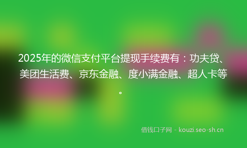 2025年的微信支付平台提现手续费有：功夫贷、美团生活费、京东金融、度小满金融、超人卡等。
