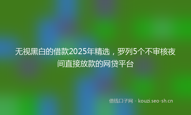 无视黑白的借款2025年精选，罗列5个不审核夜间直接放款的网贷平台