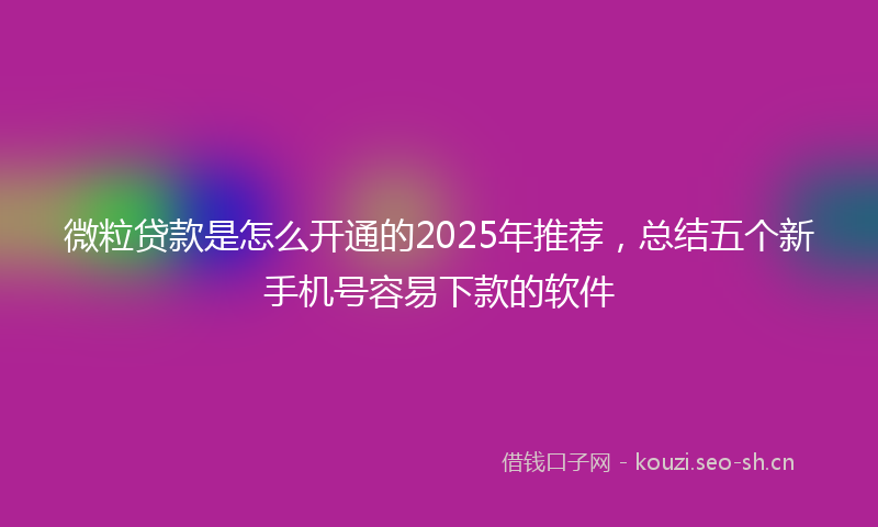 微粒贷款是怎么开通的2025年推荐，总结五个新手机号容易下款的软件
