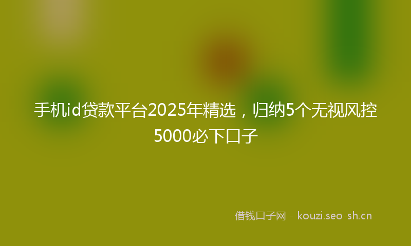手机id贷款平台2025年精选，归纳5个无视风控5000必下口子