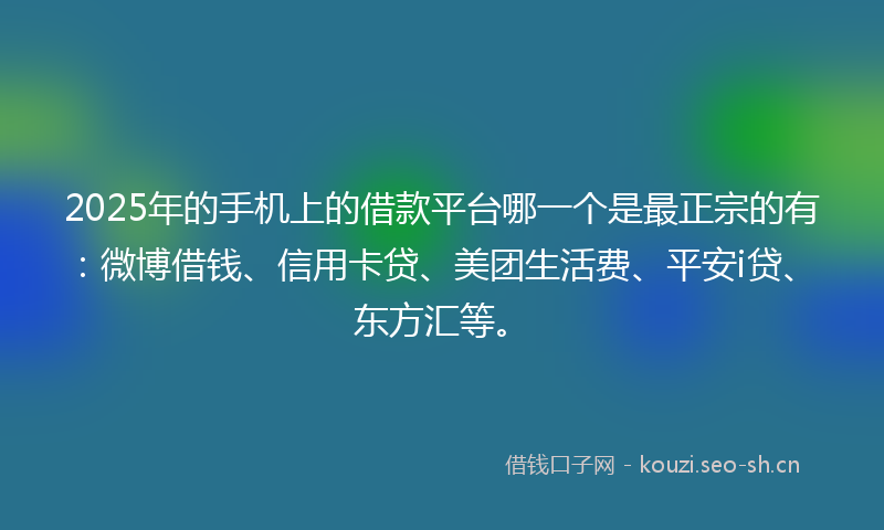 2025年的手机上的借款平台哪一个是最正宗的有：微博借钱、信用卡贷、美团生活费、平安i贷、东方汇等。