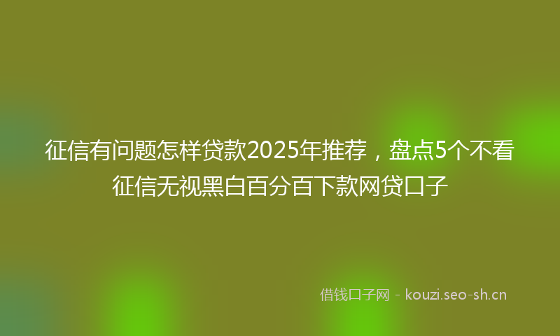 征信有问题怎样贷款2025年推荐，盘点5个不看征信无视黑白百分百下款网贷口子