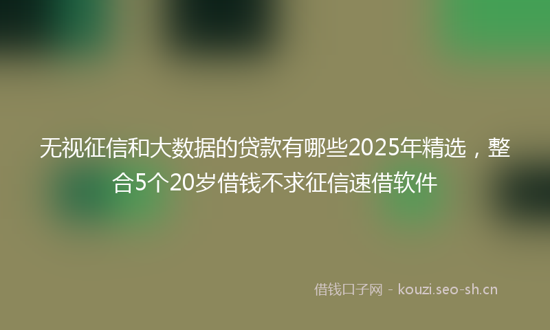 无视征信和大数据的贷款有哪些2025年精选，整合5个20岁借钱不求征信速借软件