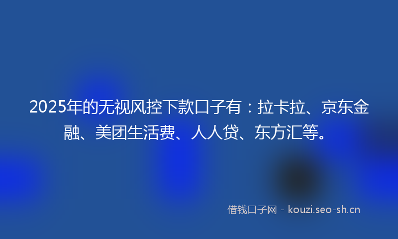 2025年的无视风控下款口子有：拉卡拉、京东金融、美团生活费、人人贷、东方汇等。