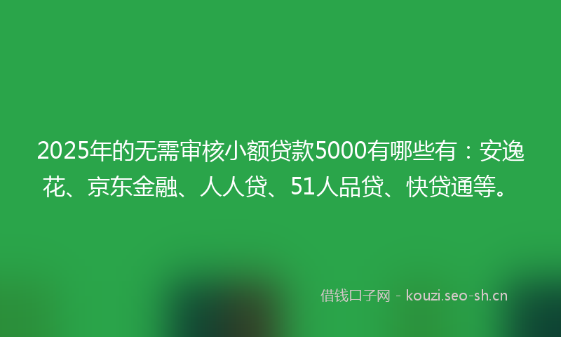 2025年的无需审核小额贷款5000有哪些有：安逸花、京东金融、人人贷、51人品贷、快贷通等。