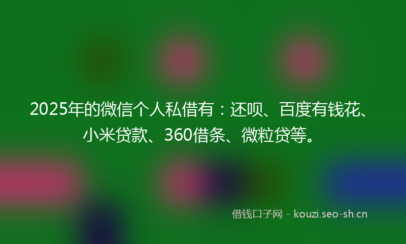 2025年的微信个人私借有：还呗、百度有钱花、小米贷款、360借条、微粒贷等。