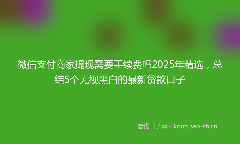 微信支付商家提现需要手续费吗2025年精选，总结5个无视黑白的最新贷款口子