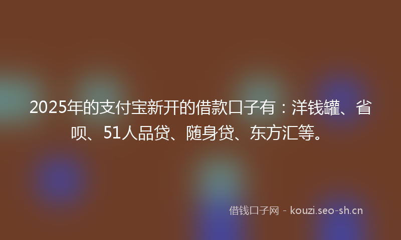 2025年的支付宝新开的借款口子有：洋钱罐、省呗、51人品贷、随身贷、东方汇等。