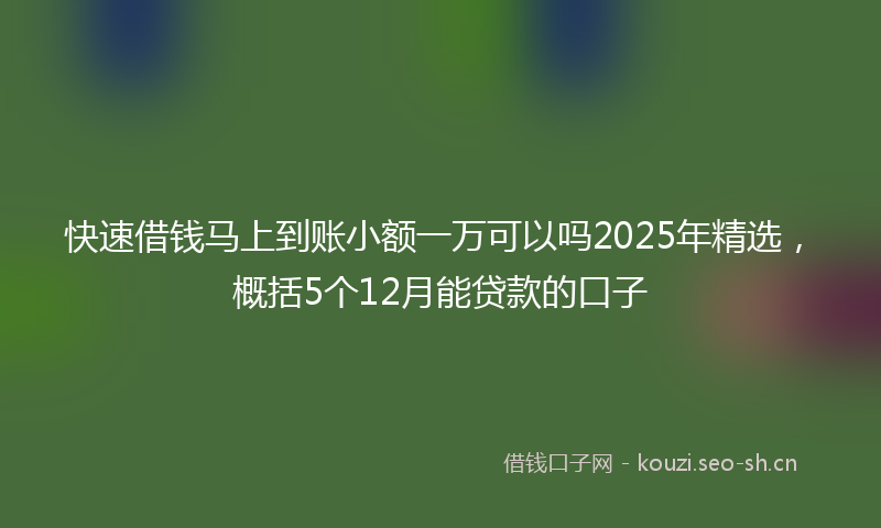 快速借钱马上到账小额一万可以吗2025年精选，概括5个12月能贷款的口子