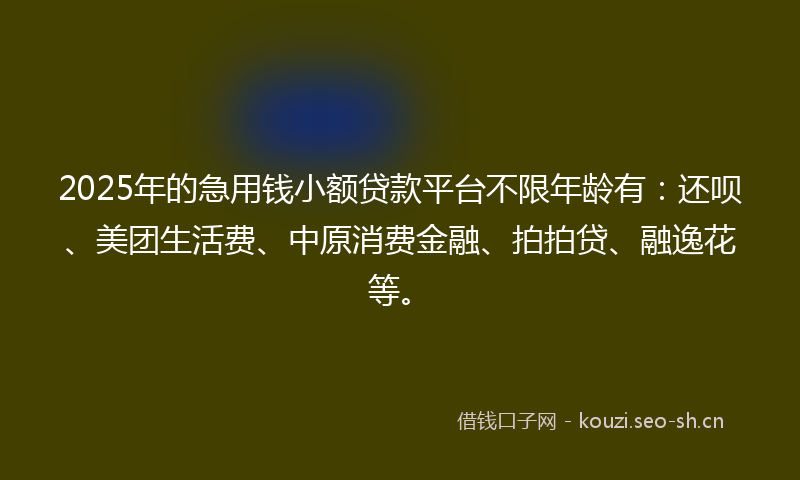 2025年的急用钱小额贷款平台不限年龄有：还呗、美团生活费、中原消费金融、拍拍贷、融逸花等。